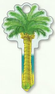 Palm Tree